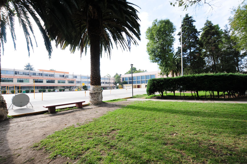 Áreas verdes del IMA